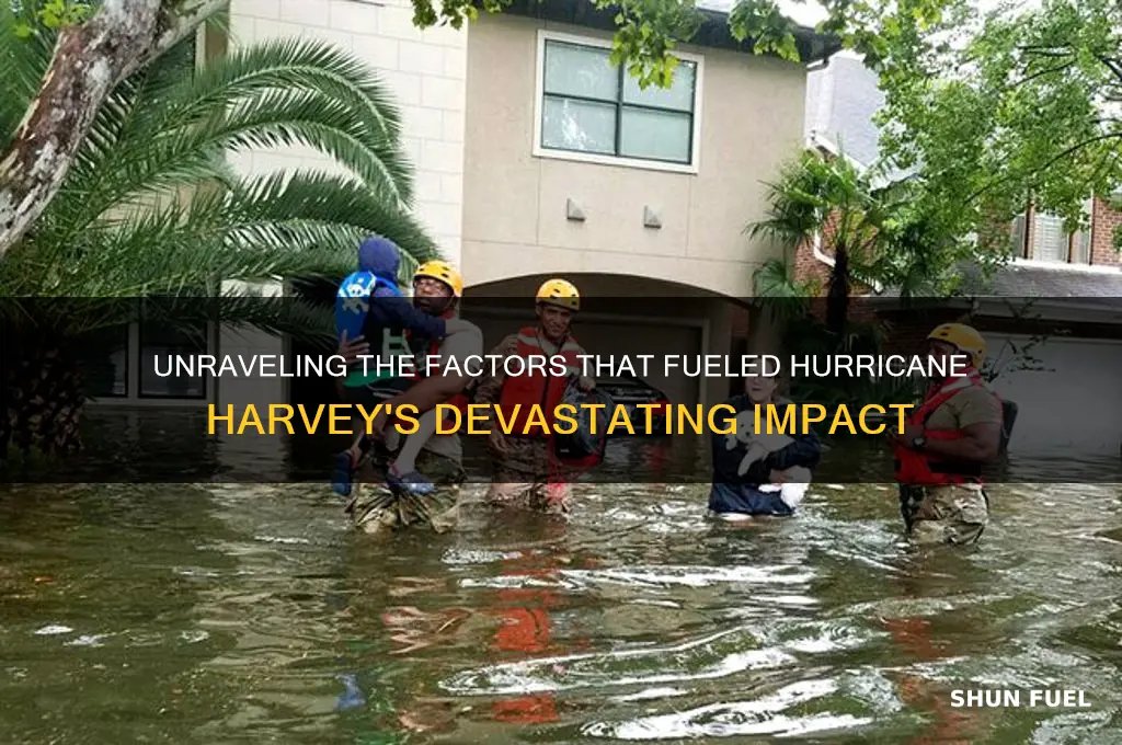what fueled hurricane harvey