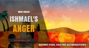 Unraveling Ishmael's Fury: The Deep Roots of His Anger