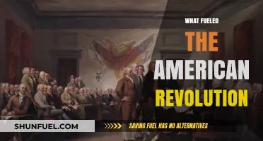 Taxation, Tyranny, and Freedom: The Spark of the American Revolution