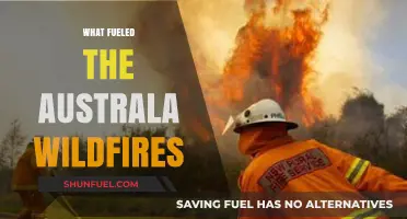 Climate Crisis and Human Activity: Unraveling Australia's Wildfire Causes