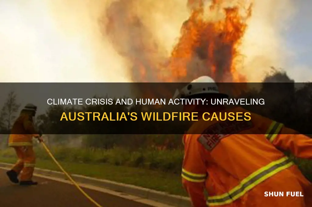 what fueled the australa wildfires