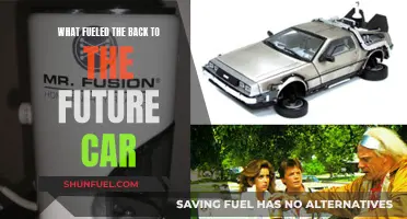 Back to the Future: Doc Brown's Car Fuel Source