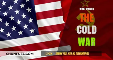 Ideologies, Power Struggles, and Global Tensions: The Cold War's Fuel
