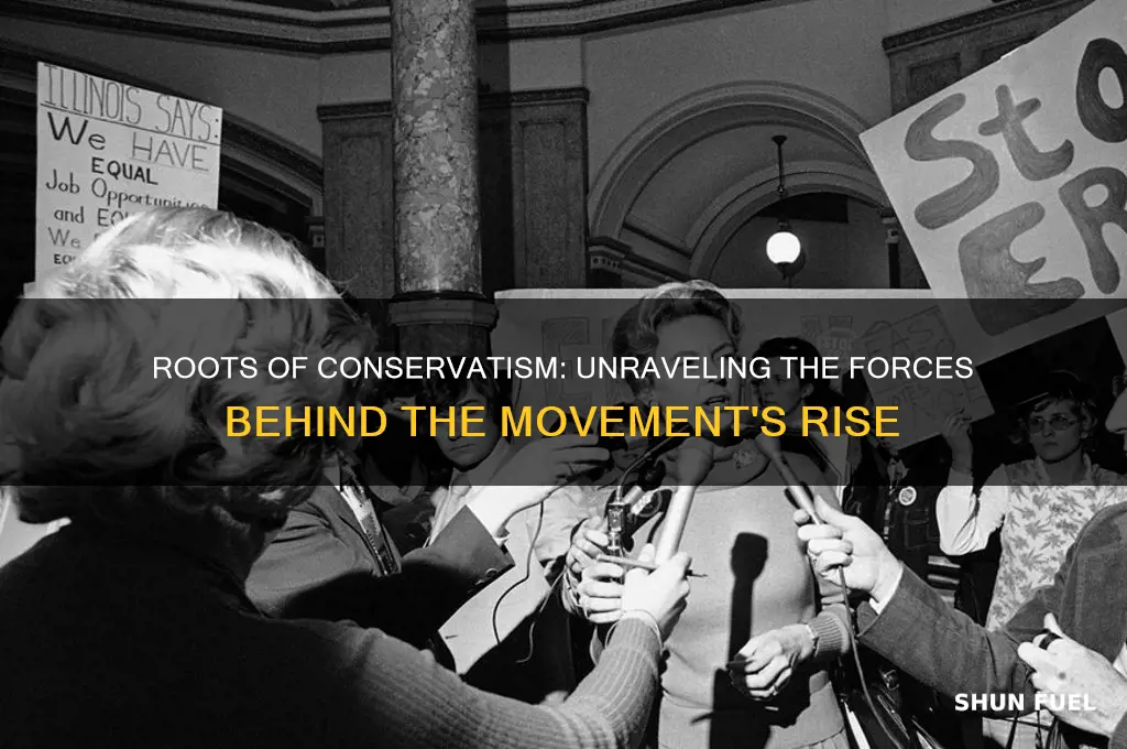 what fueled the conservative movement