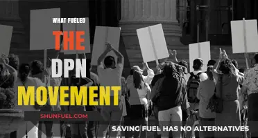 Unraveling the Catalysts Behind the DPN Movement's Rapid Rise