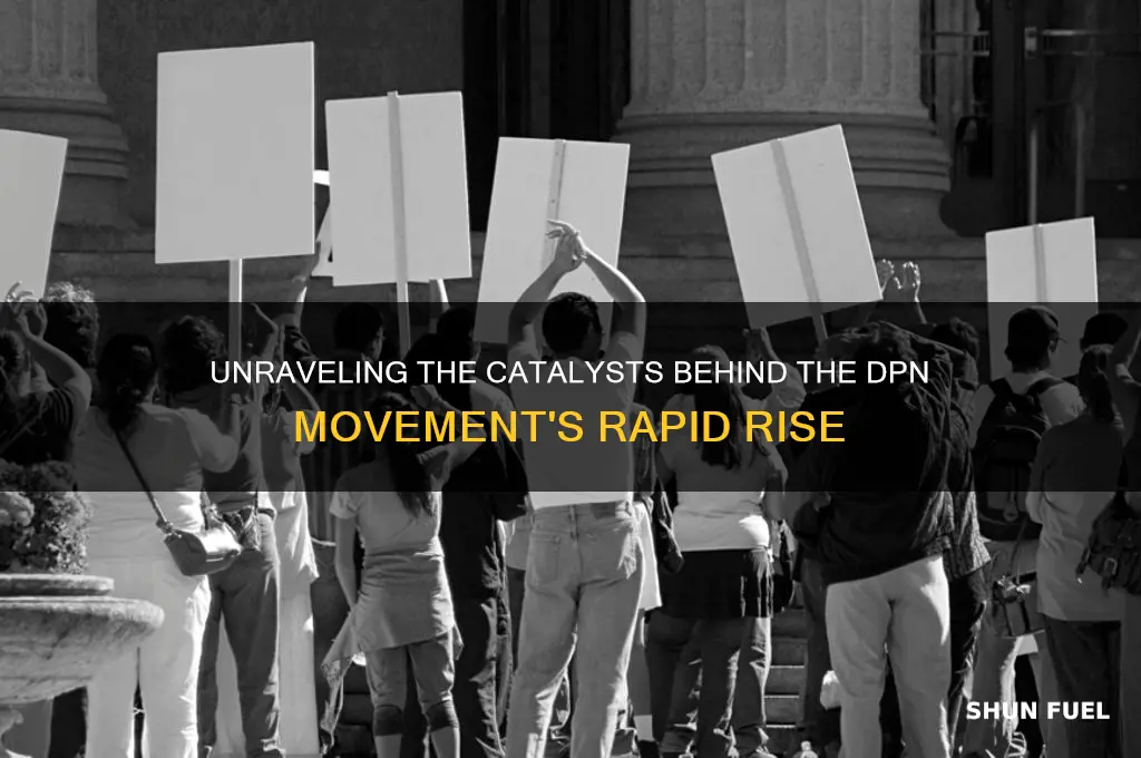 what fueled the dpn movement