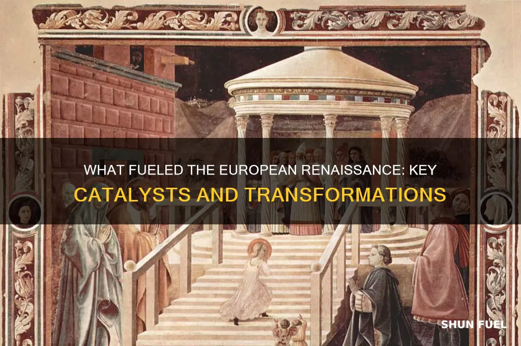 what fueled the european of