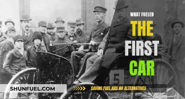 The Evolution of Car Fuel: Powering the First Cars