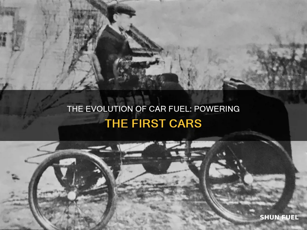what fueled the first car