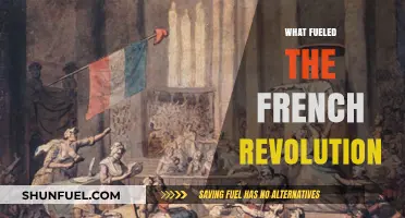 Social Inequality, Economic Crisis, and Enlightenment Ideas Sparked the French Revolution