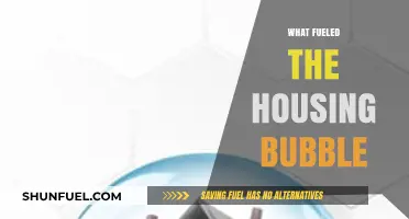 Unraveling the Causes Behind the Explosive Housing Bubble Crisis
