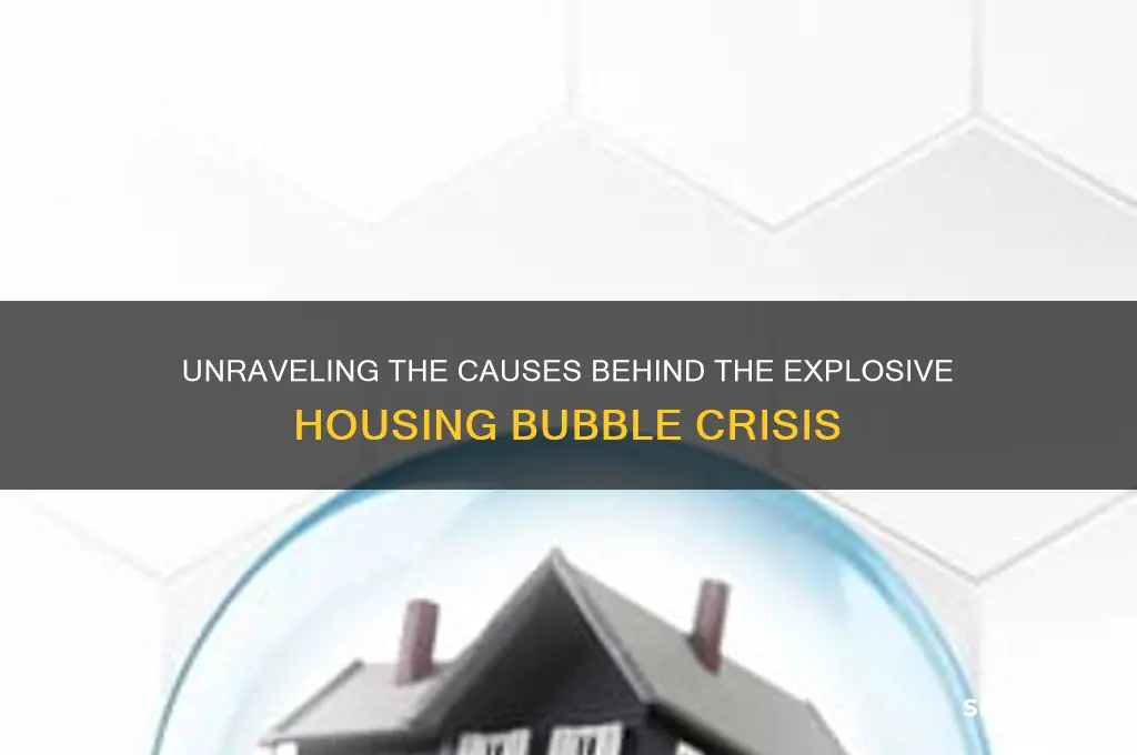 what fueled the housing bubble