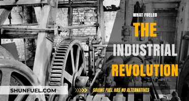 Innovation, Steam Power, and Capitalism: Driving Forces Behind the Industrial Revolution