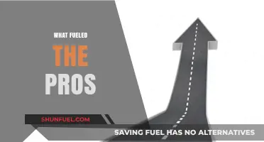 Unleashing Potential: The Hidden Forces Driving Pro Success