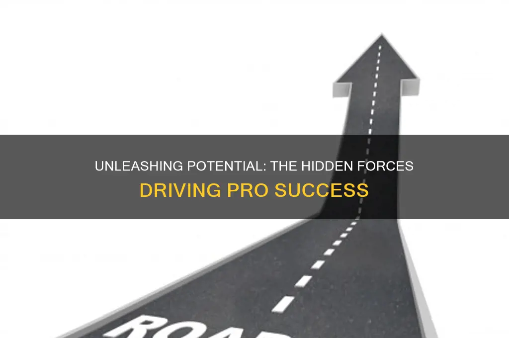 what fueled the pros