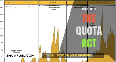 Unraveling the Forces Behind the Quota Act's Implementation