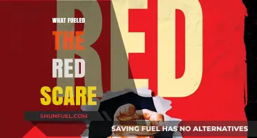 Unraveling the Red Scare: Fear, Politics, and Cold War Paranoia