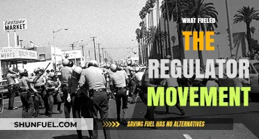 Economic Inequality and Political Corruption: The Catalysts Behind the Regulator Movement