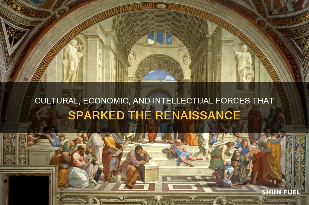 what fueled the renaissance
