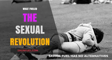 Cultural Shifts, Contraception, and Freedom: What Fueled the Sexual Revolution?
