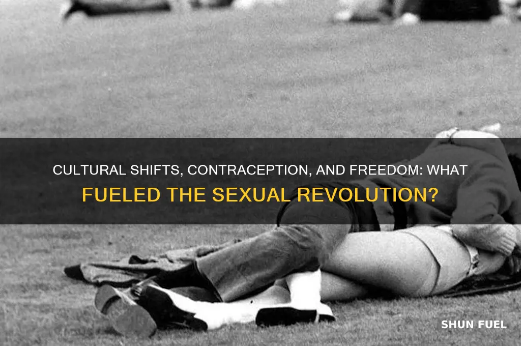 what fueled the sexual revolution