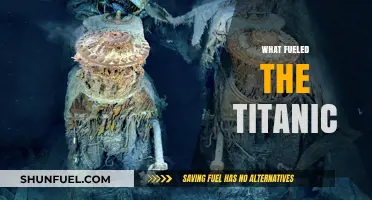Coal-Powered Tragedy: Unveiling the Titanic's Fuel and Fate