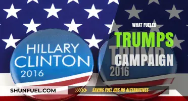 Unraveling the Key Factors That Fueled Donald Trump's 2016 Campaign