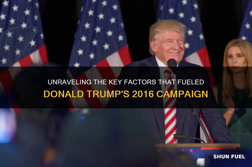 what fueled trumps campaign