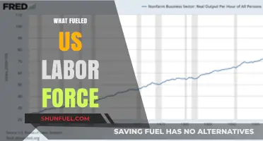 Driving Forces Behind the Growth of the U.S. Labor Force