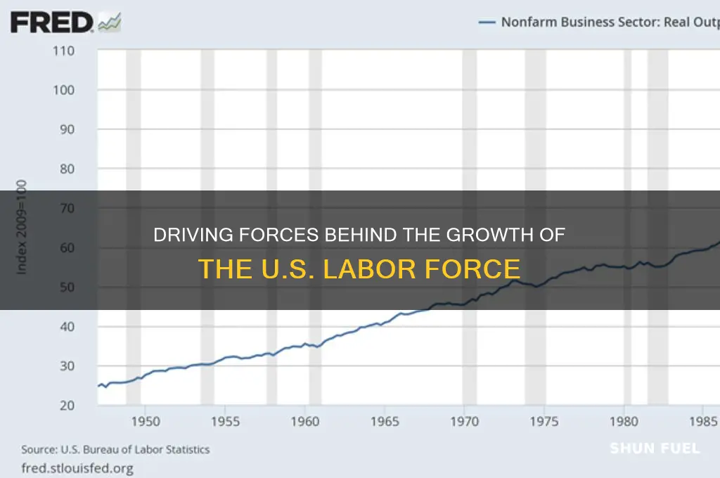 what fueled us labor force