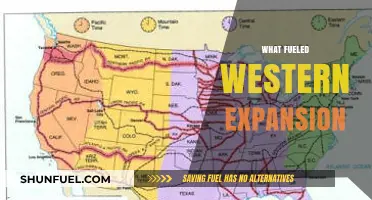 Land, Gold, and Opportunity: The Driving Forces Behind Western Expansion
