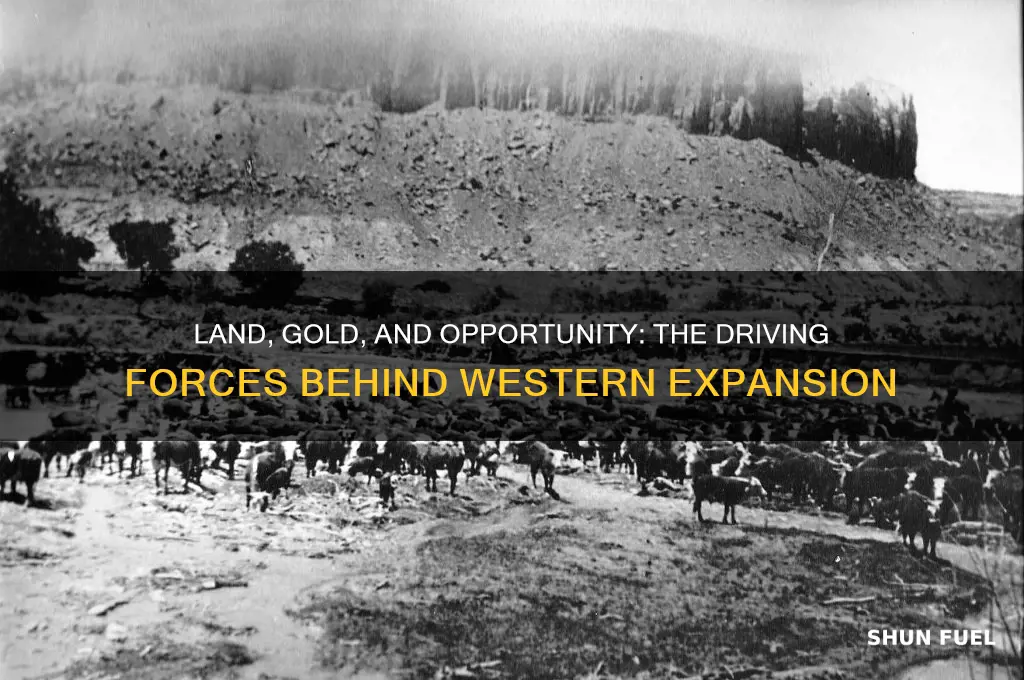 what fueled western expansion