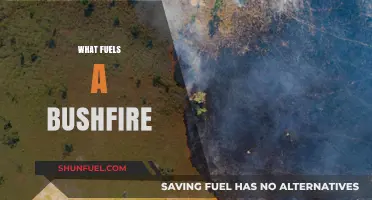 Understanding the Fiery Forces: What Fuels a Bushfire's Devastating Spread