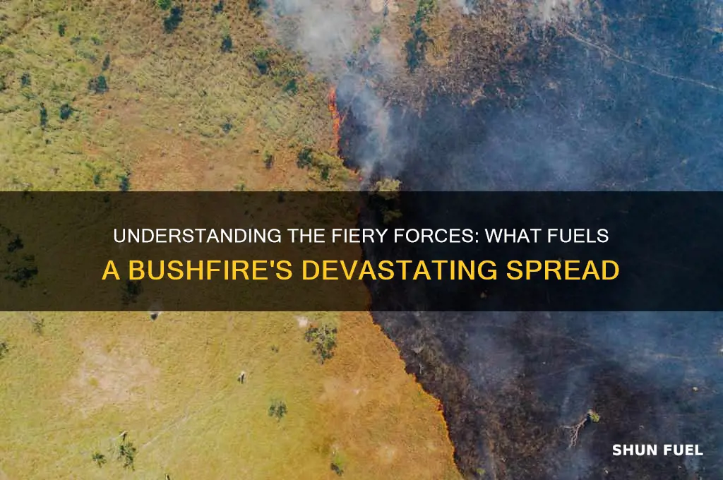 what fuels a bushfire