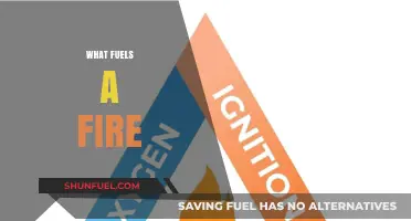 Understanding the Essential Elements That Fuel and Sustain Fire