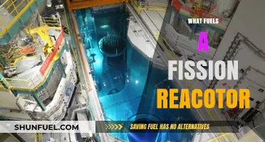 Unleashing Energy: The Core Fuels Powering Fission Reactors Explained