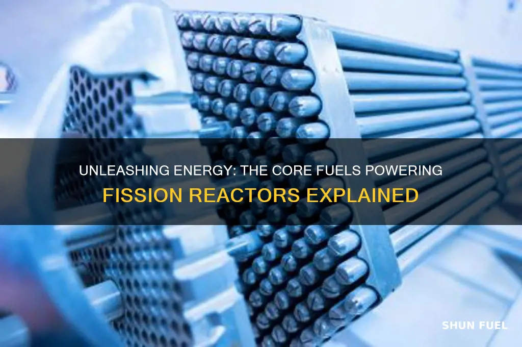 what fuels a fission reacotor