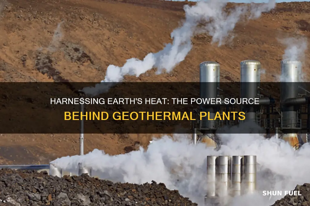 what fuels a geothermal plant