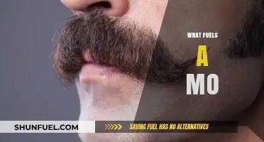 Unveiling the Science and Secrets Behind What Fuels a Mustache's Growth