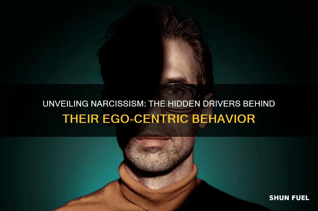 what fuels a narcissist