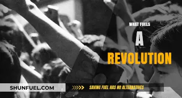 Sparking Change: The Hidden Forces Driving Revolutionary Movements