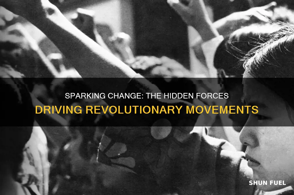 what fuels a revolution