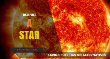 The Cosmic Furnace: Unveiling the Energy Source Powering Stars