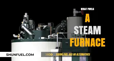Understanding the Power Source Behind Steam Furnaces: Fuel Insights