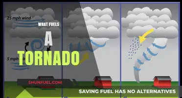 Unleashing Nature's Fury: The Science Behind What Fuels a Tornado