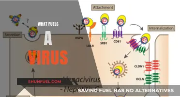 Unveiling the Molecular Drivers Behind Viral Replication and Spread