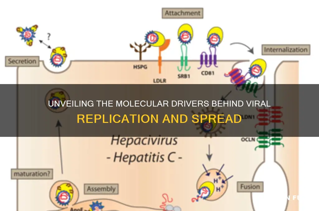 what fuels a virus