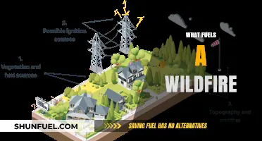 Understanding the Fiery Forces: Key Factors Fueling Wildfire Intensity