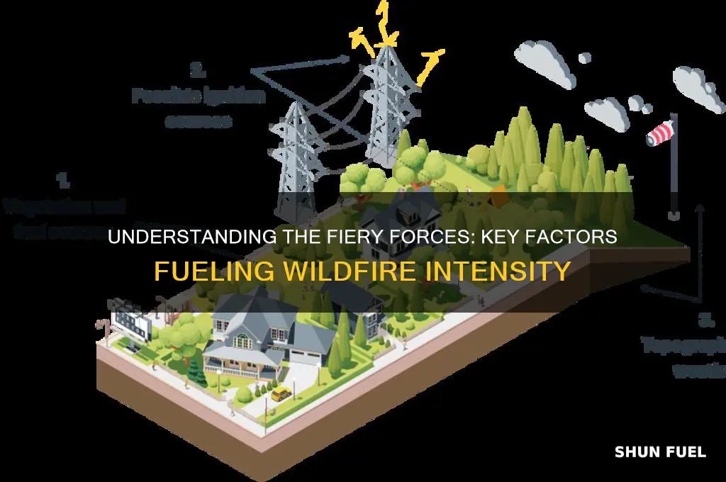 what fuels a wildfire