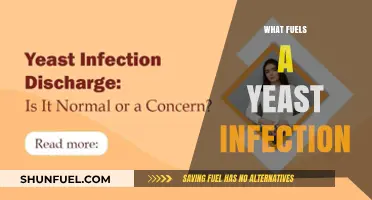 Uncovering the Hidden Triggers Behind Yeast Infections: Causes and Prevention